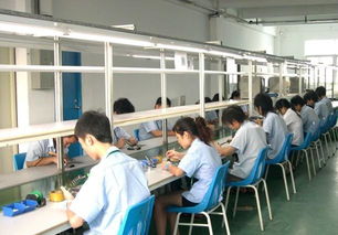 10.1英寸A9平板电脑 1GB内存8GB存储，1080P全高清Android 4.0.3设备全面解析