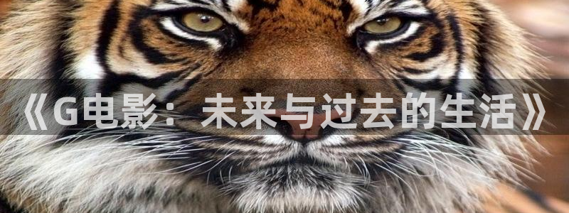 橘子影视tv版：《G电影：未来与过去的生活》