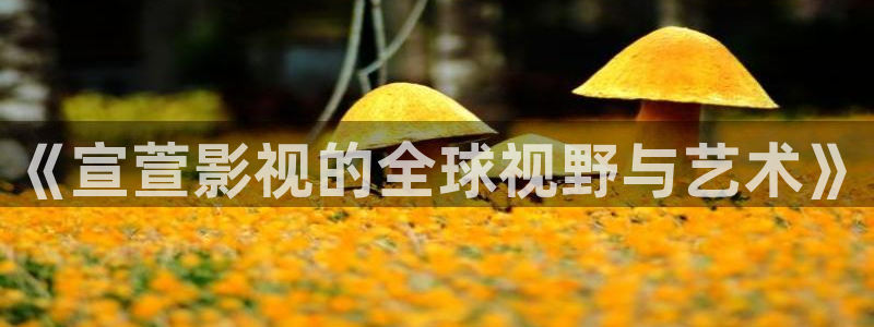 橘子视频在线下载：《宣萱影视的全球视野与艺术》