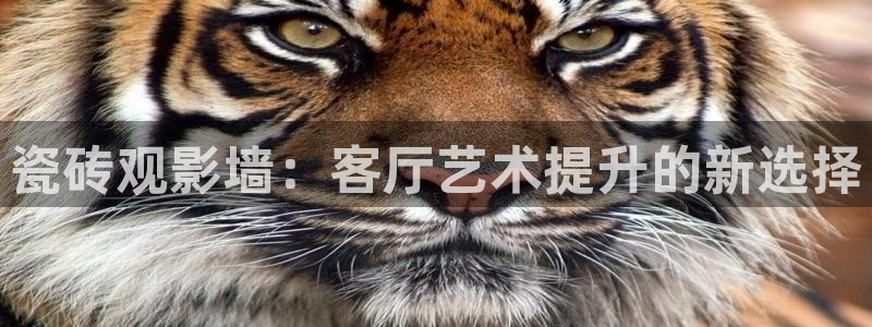 橘子视频.：瓷砖观影墙：客厅艺术提升的新选择