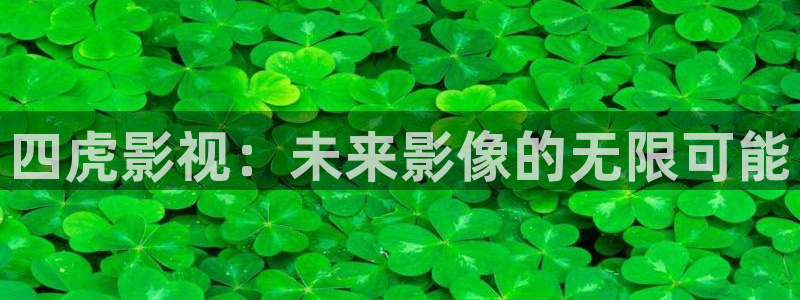 大橘子影视：四虎影视：未来影像的无限可能