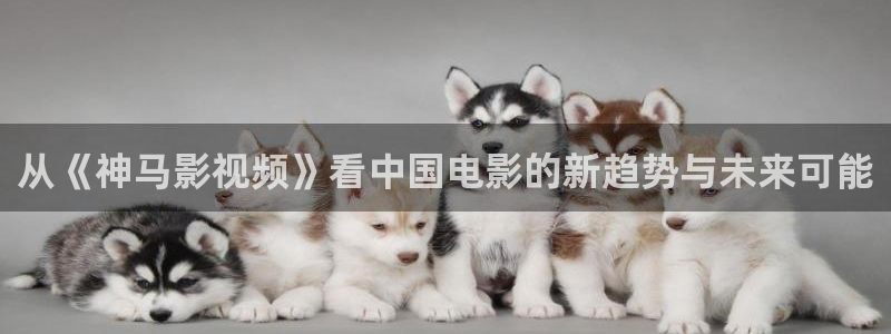 橘子视频电视版下载：从《神马影视频》看中国电影的新趋势与未来可能