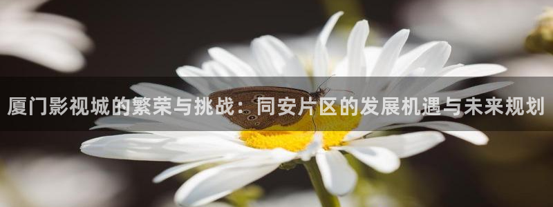 橘子了：厦门影视城的繁荣与挑战：同安片区的发展机遇与未来规划