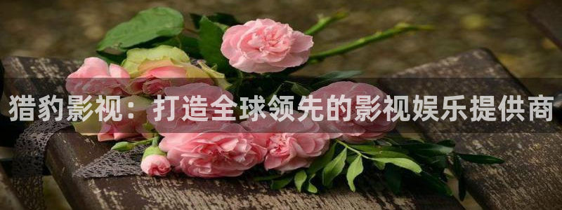 橘子和桔子有什么区别：猎豹影视：打造全球领先的影视娱乐提供商