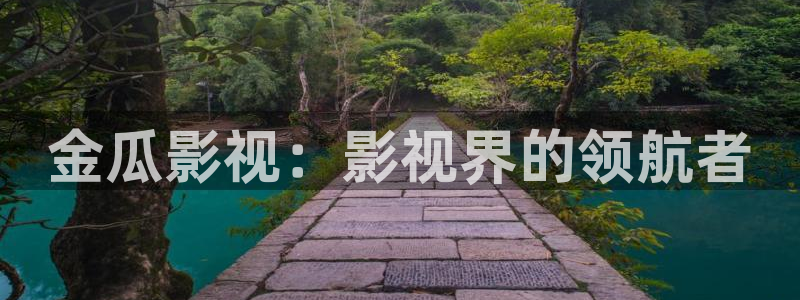 橘子影视官网：金瓜影视：影视界的领航者
