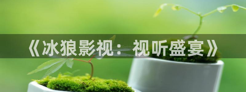 橘子视频网页版：《冰狼影视：视听盛宴》